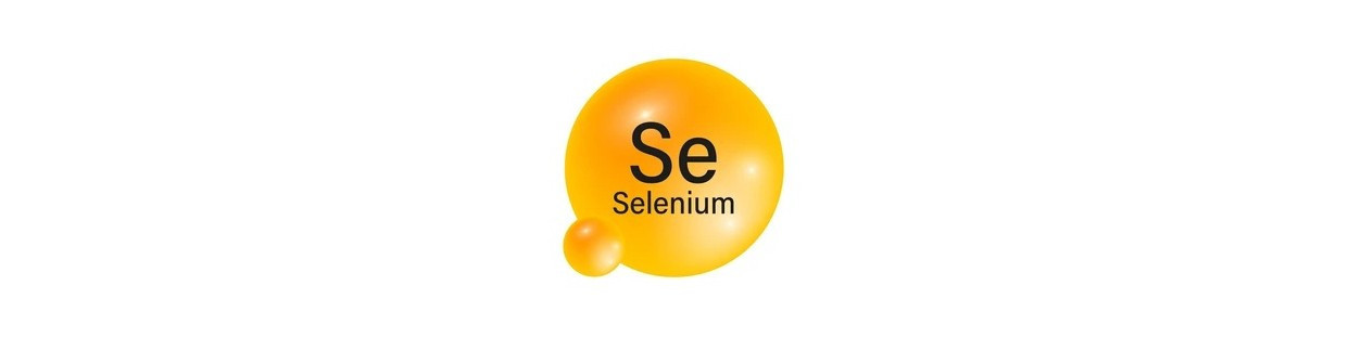 Selenio