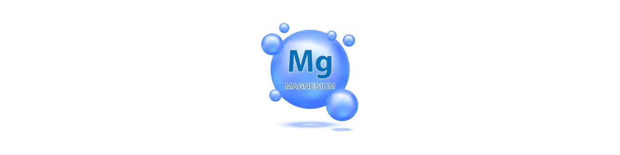 Magnesio